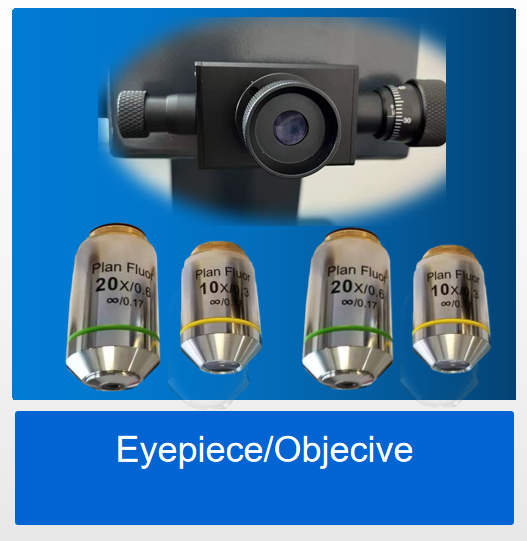 Eyepiece & Objective